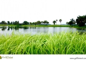 vietnam-golfcourse-heron-lake-golf-course-resort-04